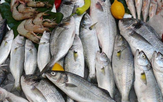 pescados (1) pescados (1)