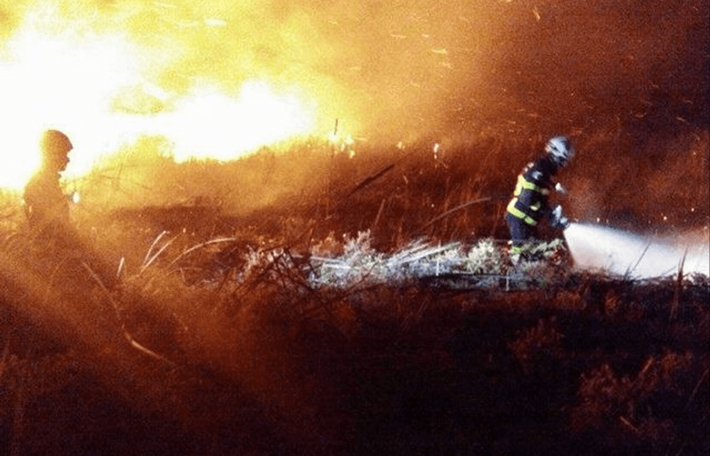 incendio-canaveral incendio-canaveral