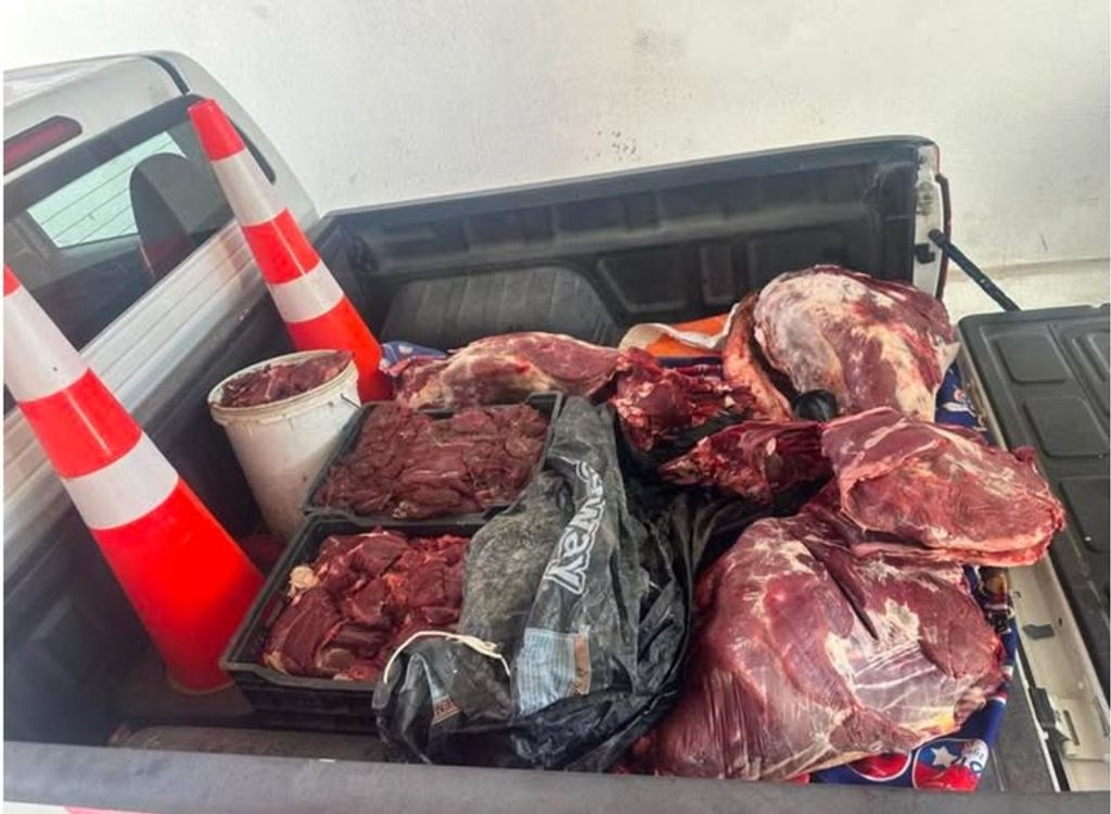 freirina carne freirina carne