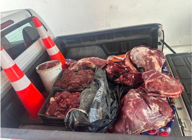 freirina carne freirina carne