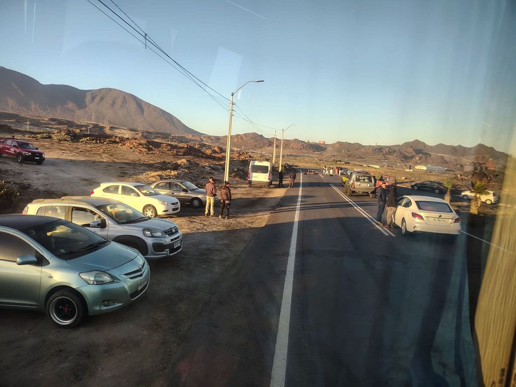 movilizacion movilizacion