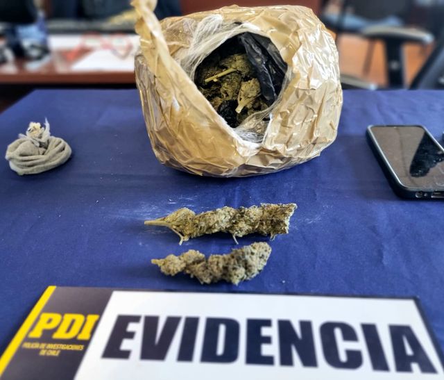 Operativo Bicrim Copiapó 19