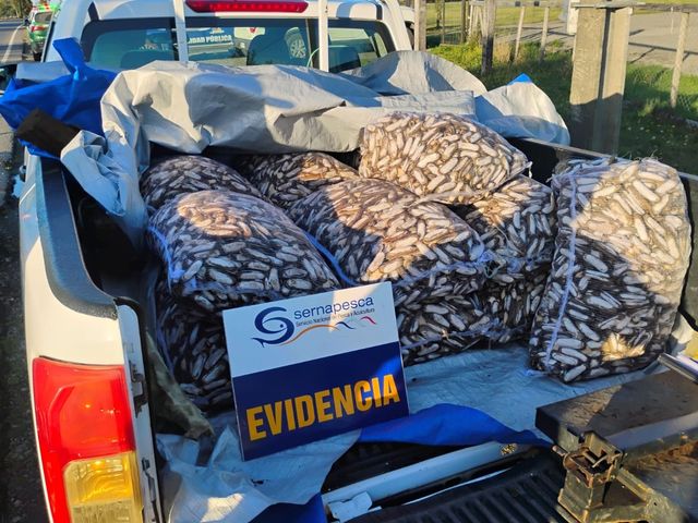 sernapesca sernapesca