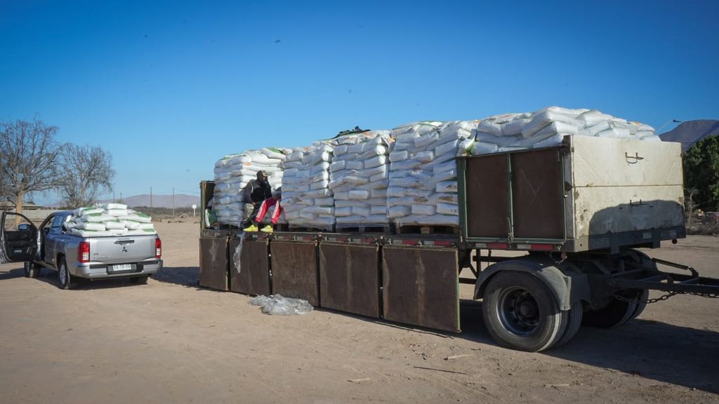 WhatsApp Image 2025-09-08 at 11 WhatsApp Image 2025-09-08 at 11