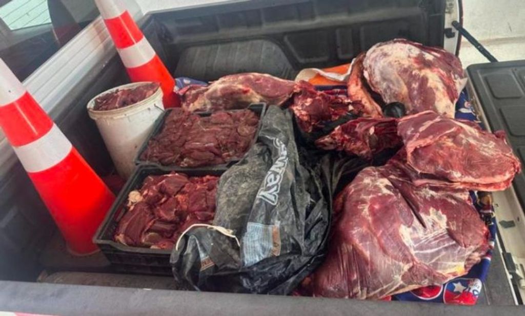 carne decomisada carne decomisada