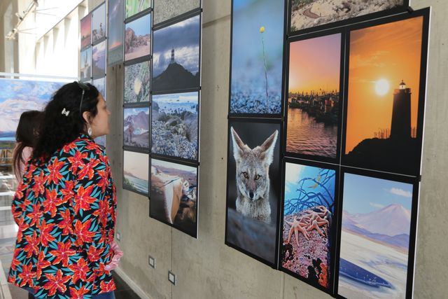 Artes Visuales Atacama (4)