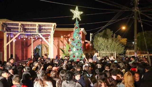 arbol paipote arbol paipote