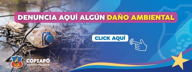 DENUNCIA AMBIENTAL DENUNCIA AMBIENTAL