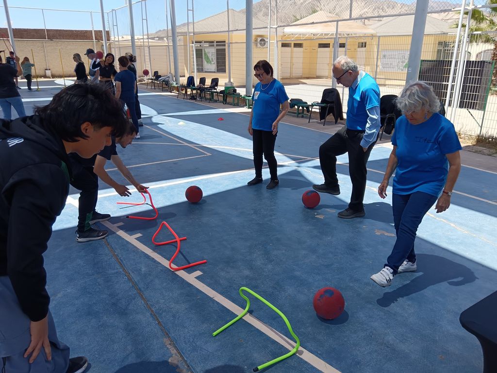 vinculación 8 vinculación 8