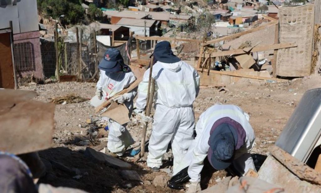 basura-limpia basura-limpia