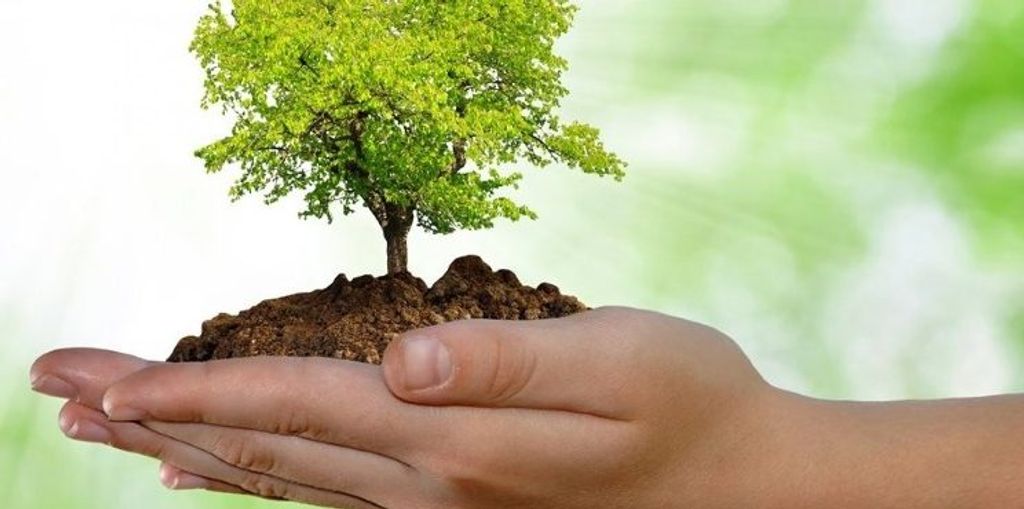 medio ambiente (1)
