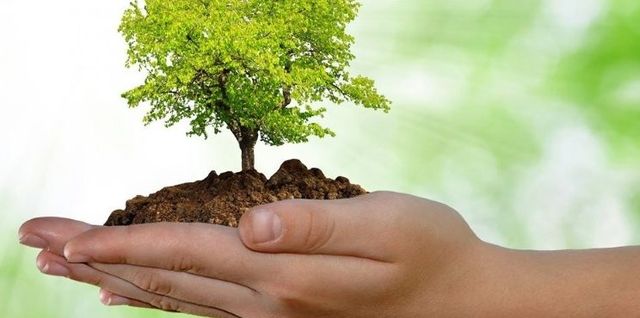 medio ambiente (1)