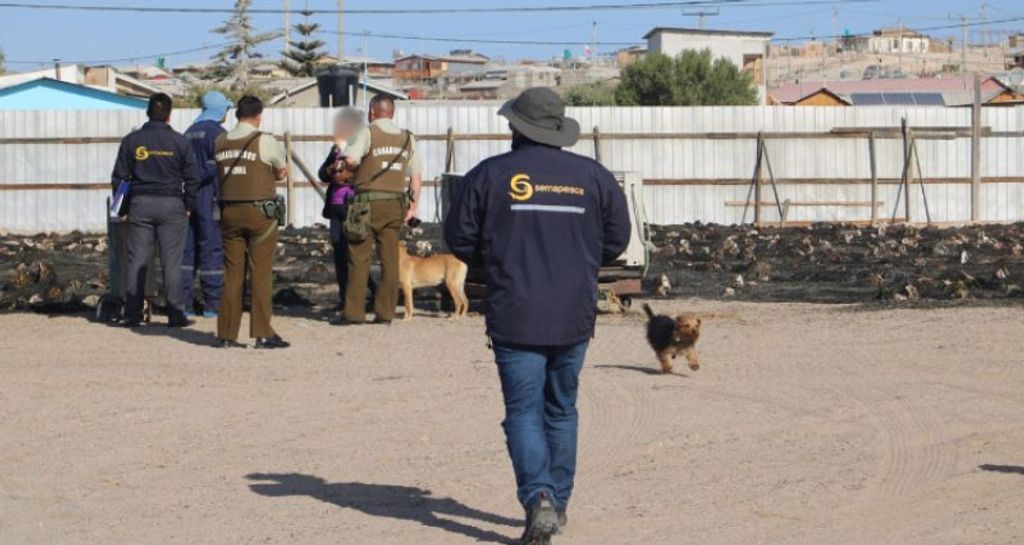 incautacion-huironegro incautacion-huironegro