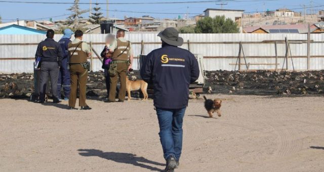 incautacion-huironegro incautacion-huironegro