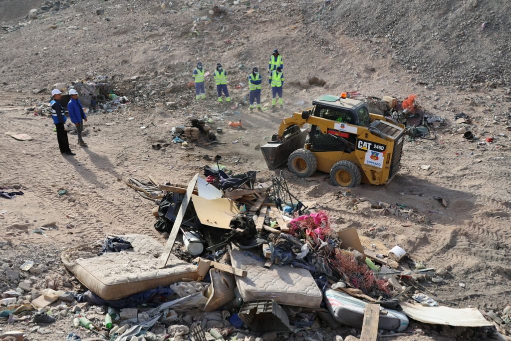 complejo plg complejo plg