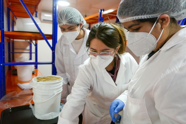 Biofábrica 2 Biofábrica 2