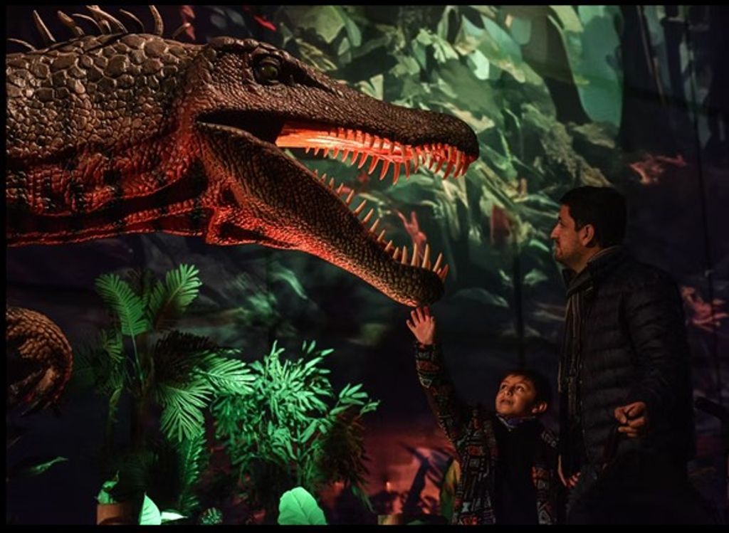 Dinos - Kaukari Dinos - Kaukari