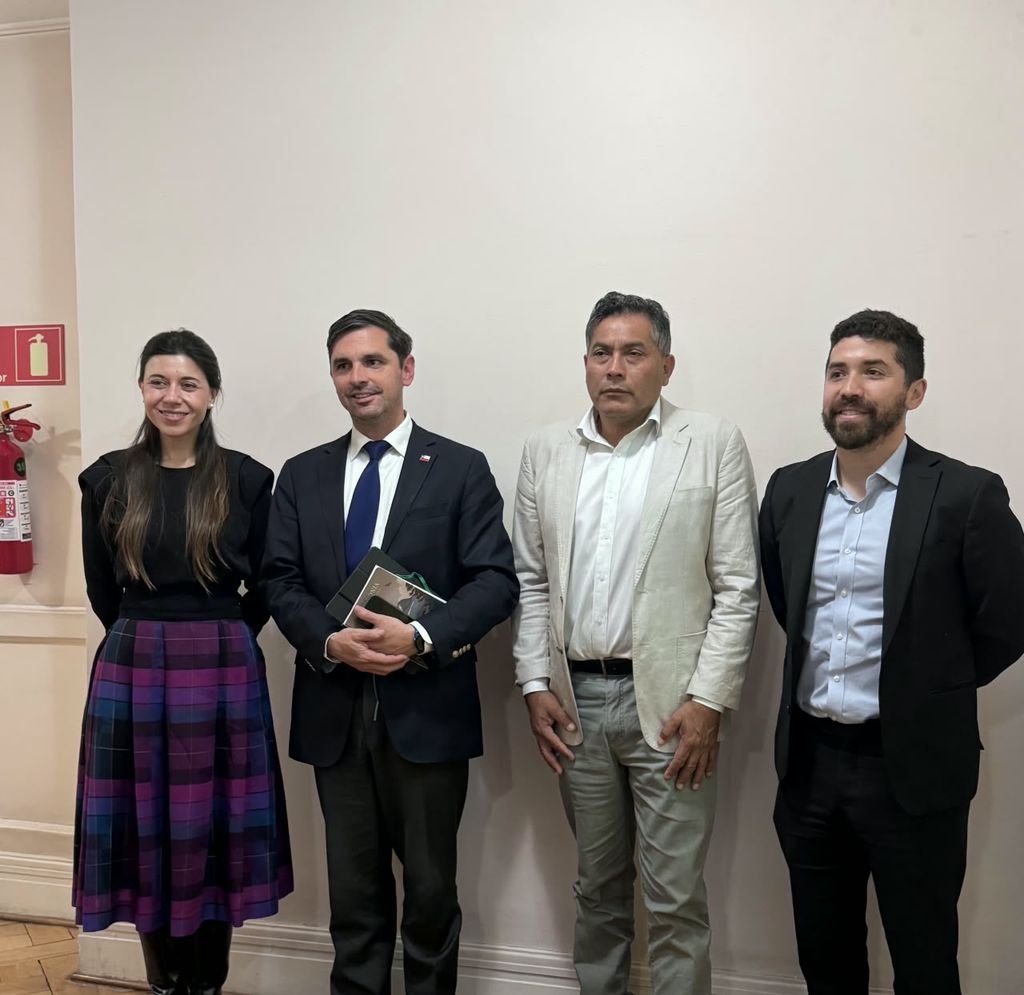 Foto gestiones alto del carmen