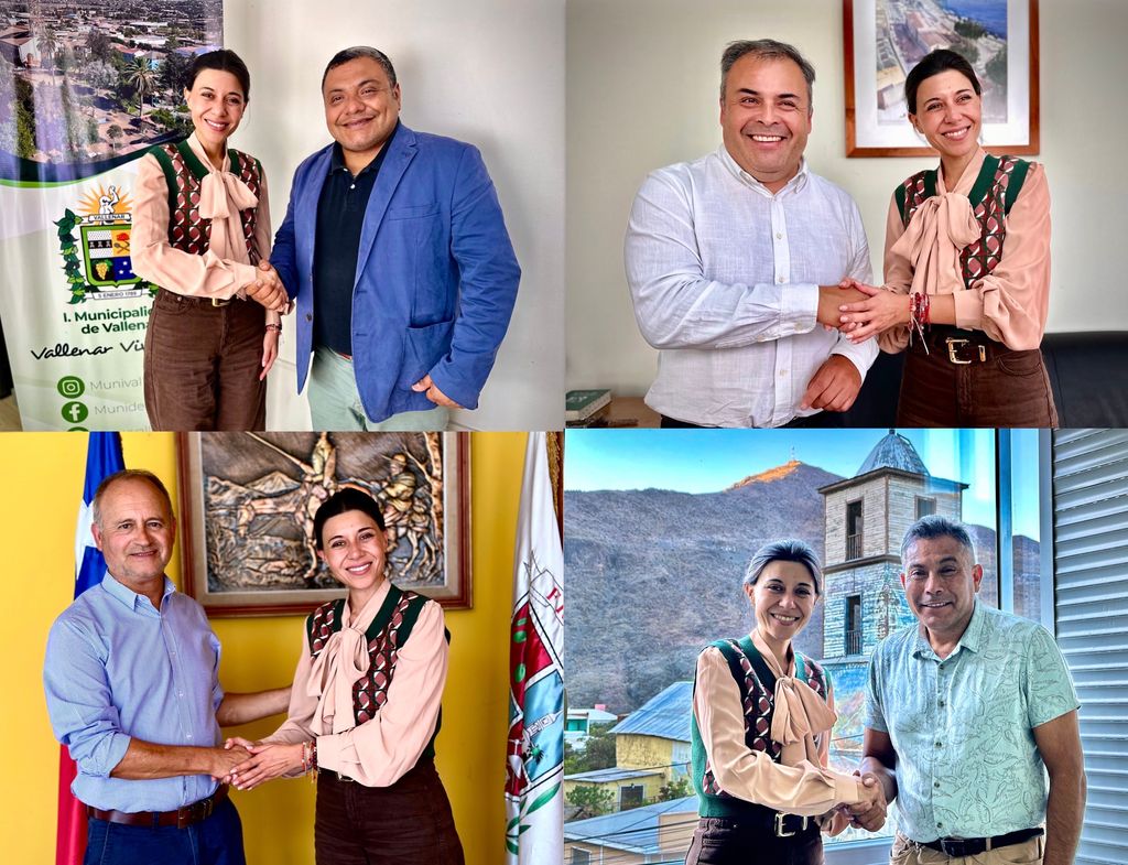 senadora cicardini 2