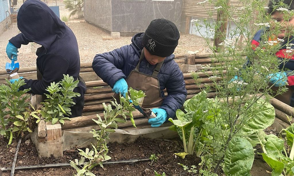 Proyecto Jardinería escuela Nantoco Proyecto Jardinería escuela Nantoco