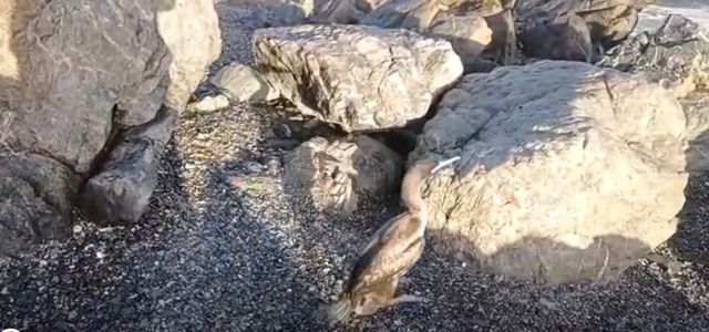 211878