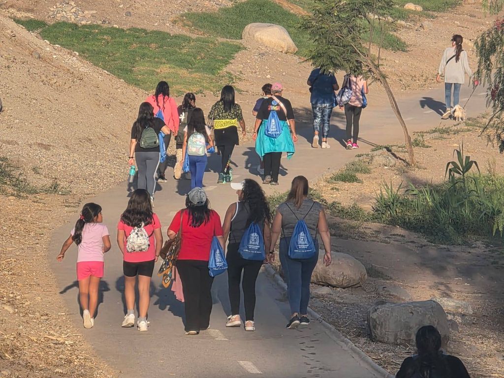 CAMINATA VALLENAR CAMINATA VALLENAR