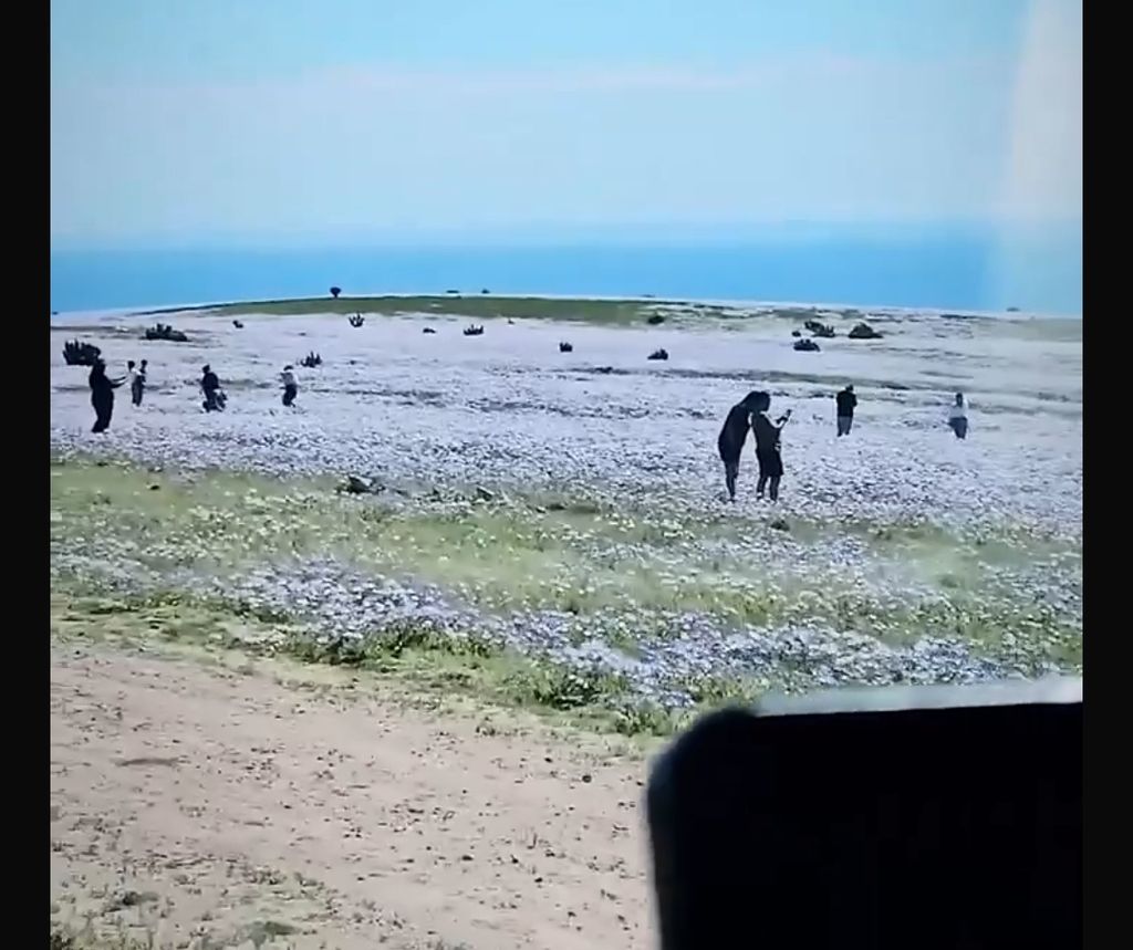1000121148