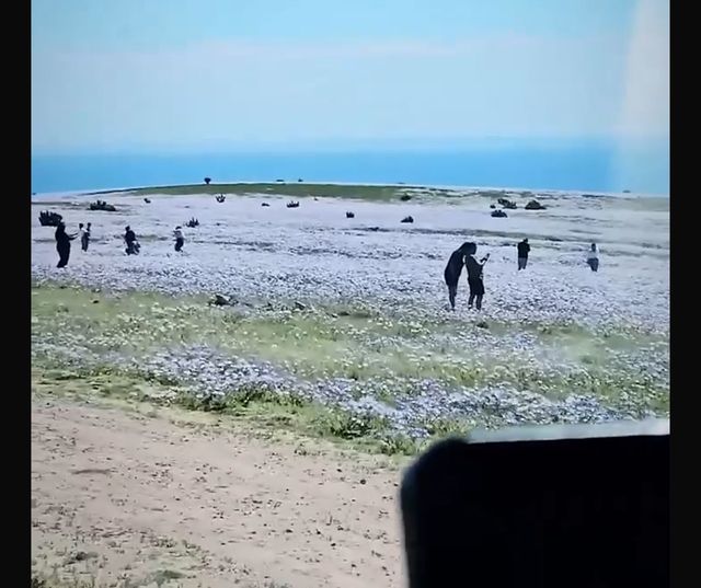 1000121148 1000121148