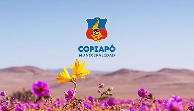 copiapo_muni-780x450