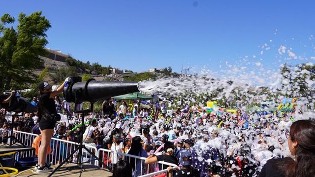 873cbf48-5a9c-4446-87e6-6f88fde628b3-medium-standard-q100 873cbf48-5a9c-4446-87e6-6f88fde628b3-medium-standard-q100