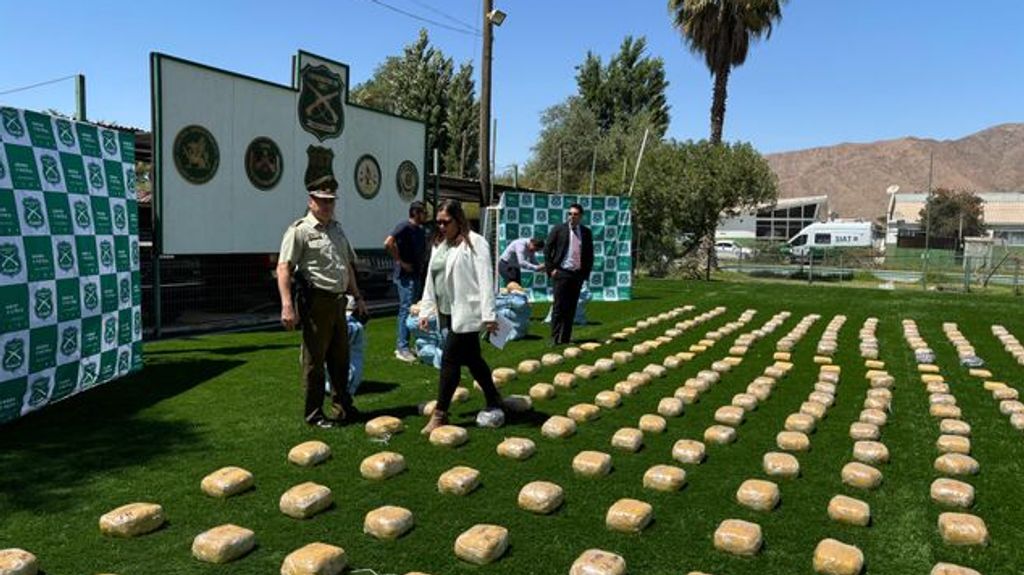 28b49ce3-e4a7-4592-abf4-5e772ed3af8b-medium-standard-q100 28b49ce3-e4a7-4592-abf4-5e772ed3af8b-medium-standard-q100