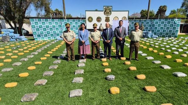 f78b69b0-1232-4d11-b4c9-c8d492f5bb57-medium-standard-q100