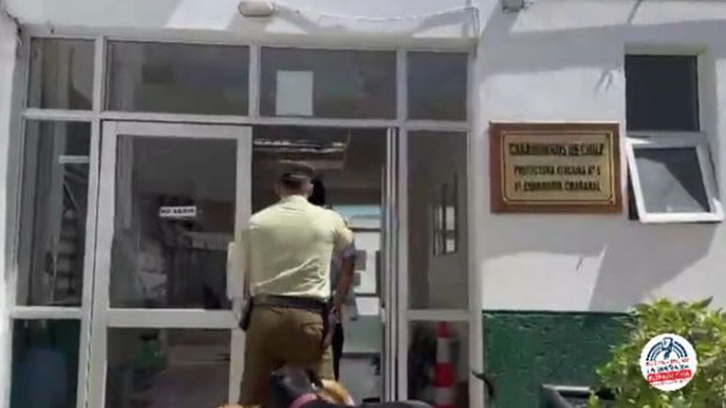 56f32dc8-af82-4c77-8856-4a0cce1707b1-medium-standard-q100 56f32dc8-af82-4c77-8856-4a0cce1707b1-medium-standard-q100