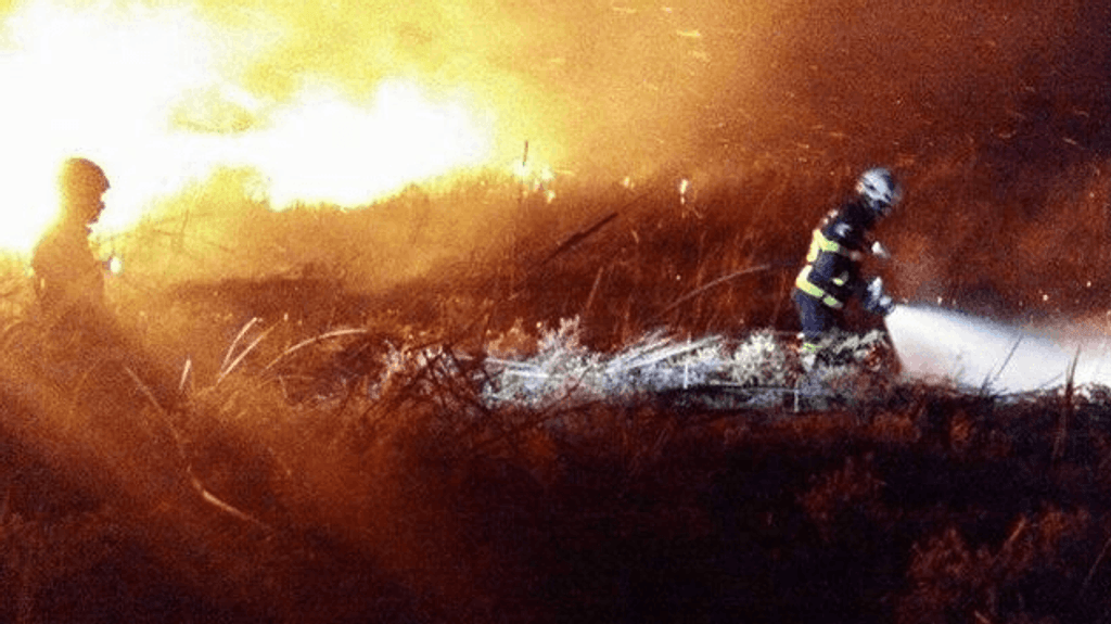 5662bd02-9be5-4049-8e6d-e41b7f48a28d-medium-standard-q100 5662bd02-9be5-4049-8e6d-e41b7f48a28d-medium-standard-q100