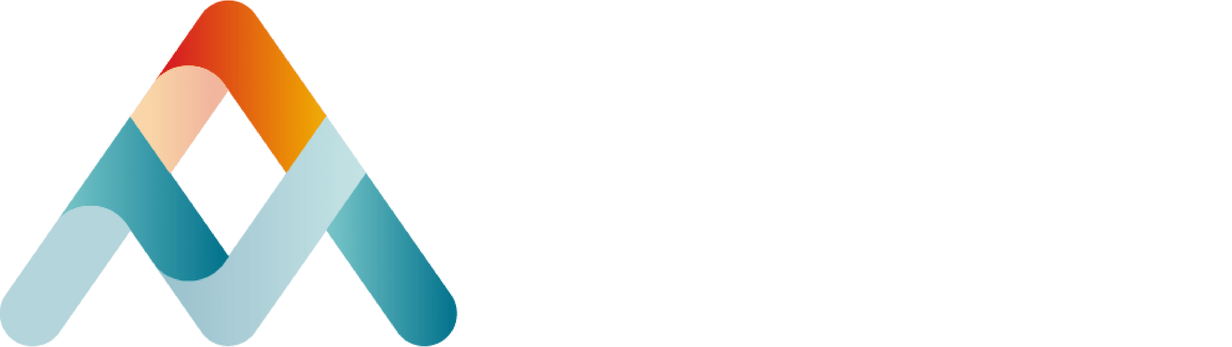 logo-amsa2